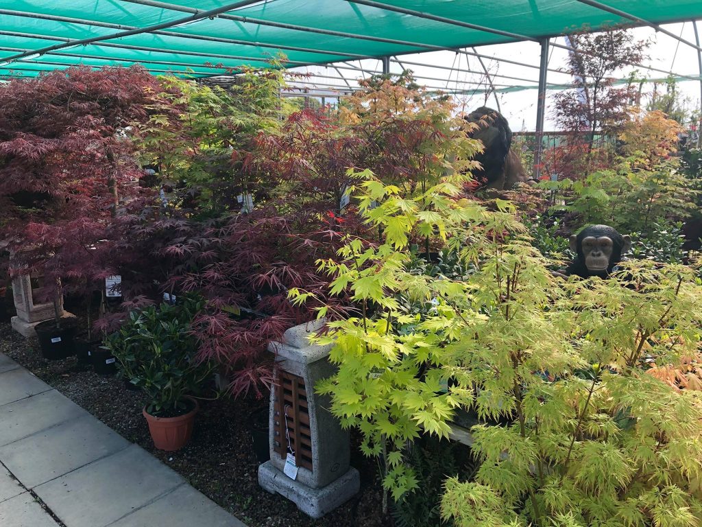 Hanging Gardens Tea Room & Garden Centre