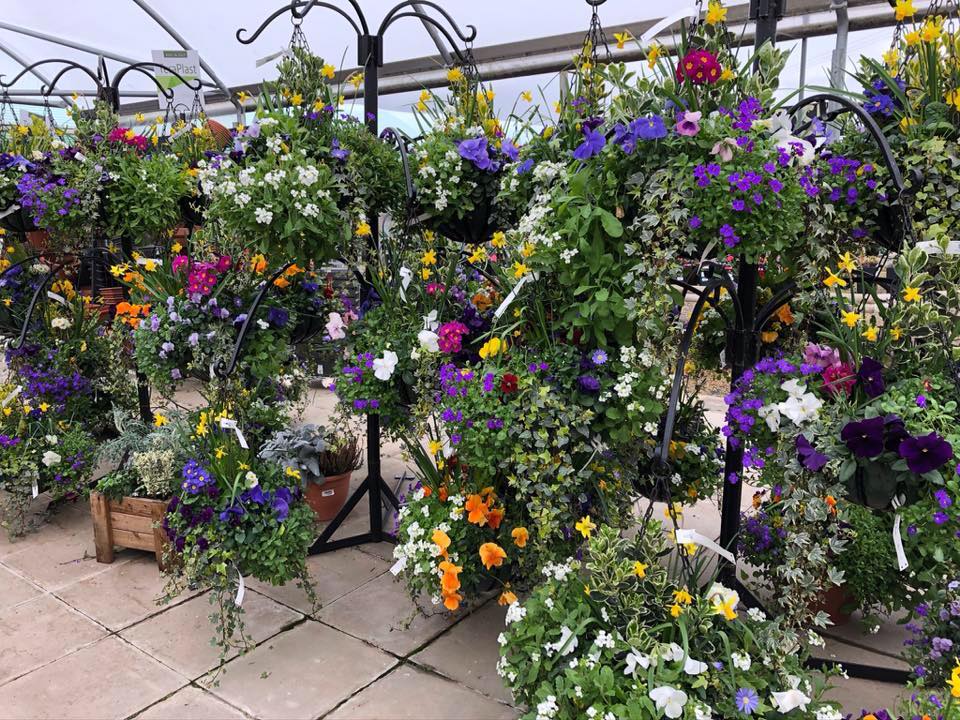 Hanging Gardens Tea Room & Garden Centre